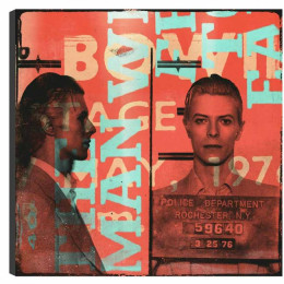 Bowie - Box Canvas