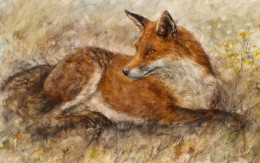 Red Fox Waiting - Board Only