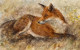 Red Fox Waiting - Board Only