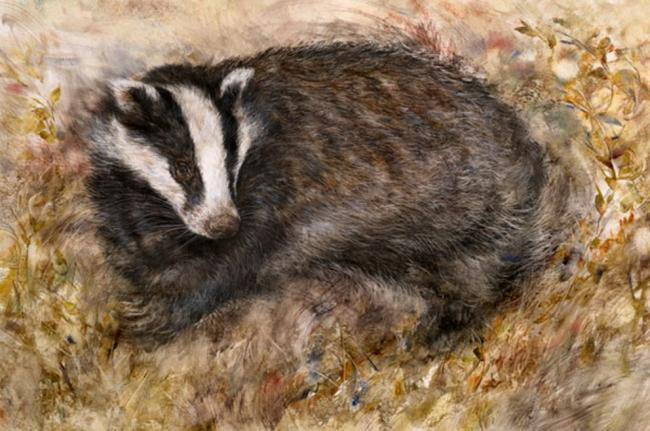 Badgers Rest