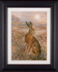 Moonlight Hare - Framed