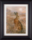 Moonlight Hare - Framed