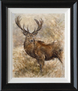 Majestic Stag - Framed