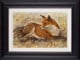 Red Fox Waiting - Framed