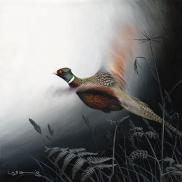 In Flight - Pheasant - Canvas With Slip