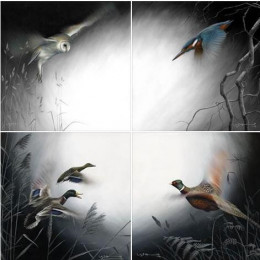 In Flight - Set Of 4 - Canvas With Slip