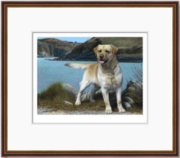 Coast Guard - Dark Wood Framed