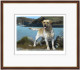 Coast Guard - Dark Wood Framed