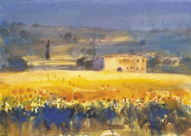 Sunflowers, Tuscany - Mounted