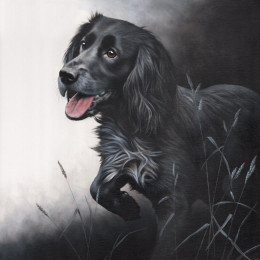 Field Sports - Cocker Spaniel - Paper - Print only