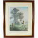 Spirit Of The Elms - Dark Wood Framed