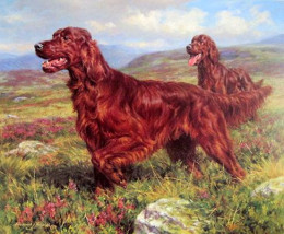 Irish Setters - Mounted