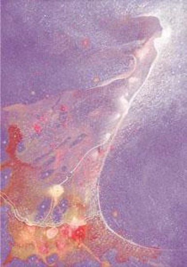 Tidal Spirits Tidal Spirits