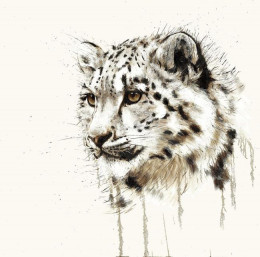 Snow Leopard - Box Canvas