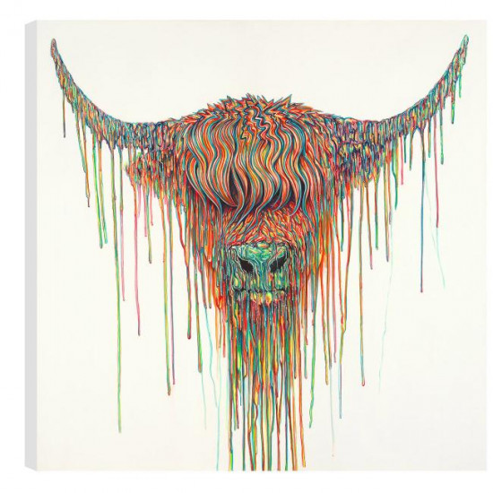 Angus - Box Canvas Angus - Box Canvas