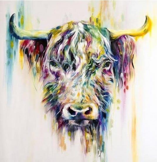 Highland Cow Highland Cow