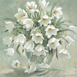 Tulip Serenade - Box Canvas