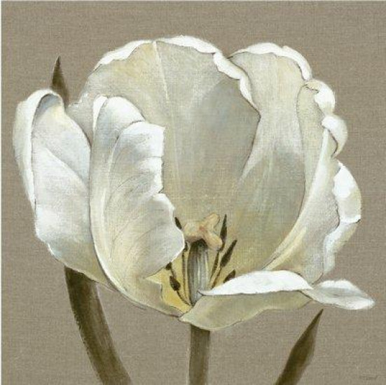 Linen Tulip - Box Canvas Linen Tulip - Box Canvas