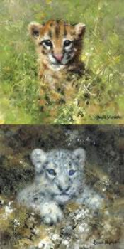 Ocelot & Snow Leopard Cubs - Mini Collection - Mounted