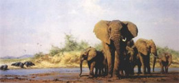 Evening In Africa (Elephants, Hippos) - Print
