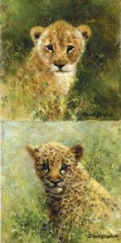 Lion & Leopard Cubs - Mini Collection - Mounted