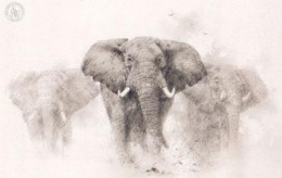 Elephants - Pencil Drawing - Mounted