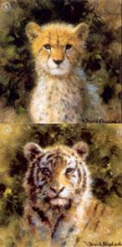 Cheetah & Tiger Cub - Mini Collection - Mounted