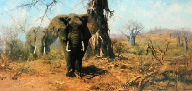 The Land Of The Baobab Tree - Print only The Land Of The Baobab Tree - Print only