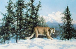 Mountain Lion (& Cameo) - Print only