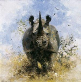 Black Rhino - Cameo Collection - Mounted