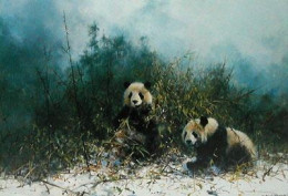 The Pandas Of Wolong - Print only