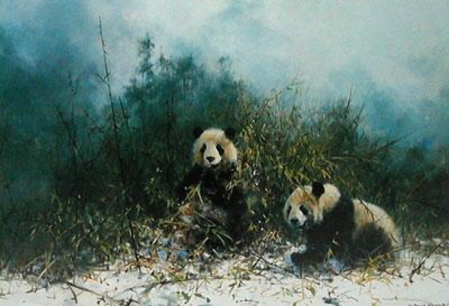 The Pandas Of Wolong