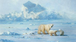 Polar Bear Country - Mounted