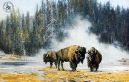 The Hot Springs Of Yellowstone - Print only