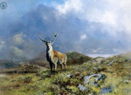 The Prince Of Rannoch Moor - Print only