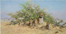 Cheetah Family - In The Serengeti - Print