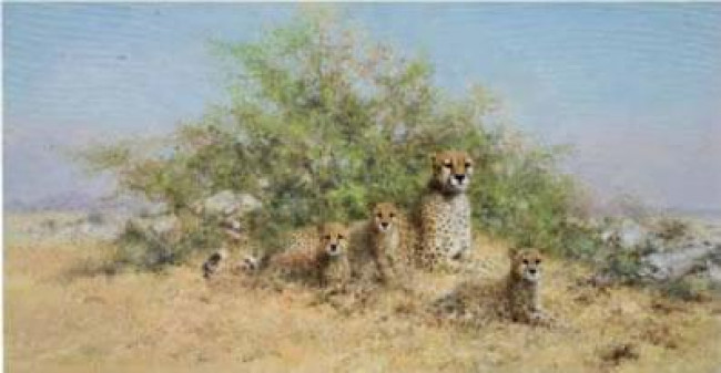 Cheetah Family - In The Serengeti - Print