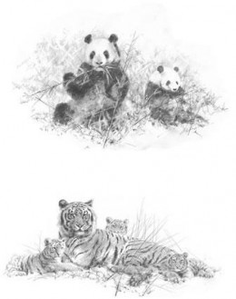 Portfolio Set II - Pandas & Tigers (Set Of Two) - Mounted