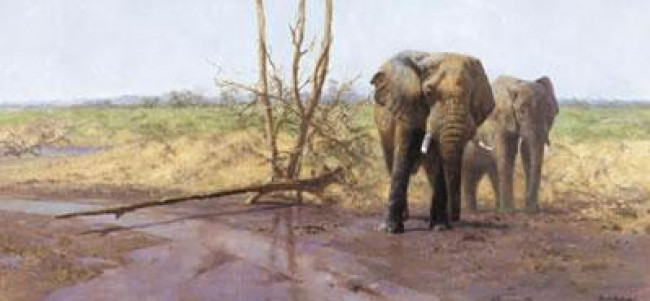 In The Masai Mara - Print In The Masai Mara - Print