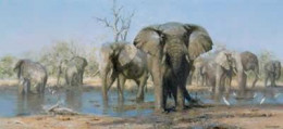 Happy Time - Elephants - Print only