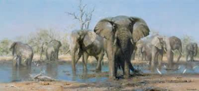 Happy Time - Elephants - Print only Happy Time - Elephants - Print only