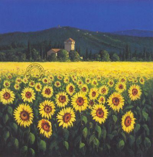 Tuscan Sunflowers - Large