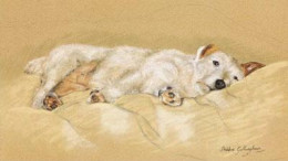 Jack Russell - Print