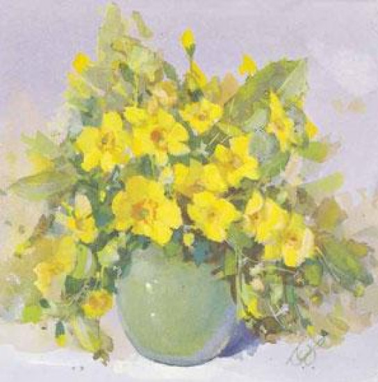 Primulas - Mounted Primulas - Mounted