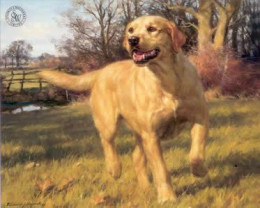 Yellow Labrador - Mounted