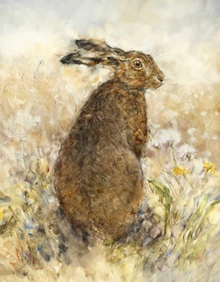 The Curious Hare - Canvas