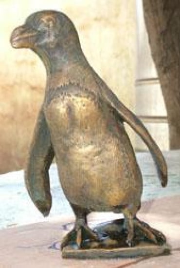 Jackass Penguin - Pure Bronze Jackass Penguin - Pure Bronze
