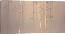Enchanted Woods I - Box Canvas