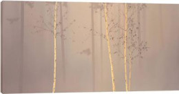 Enchanted Woods I - Box Canvas