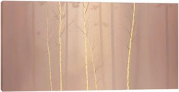 Enchanted Woods II - Box Canvas